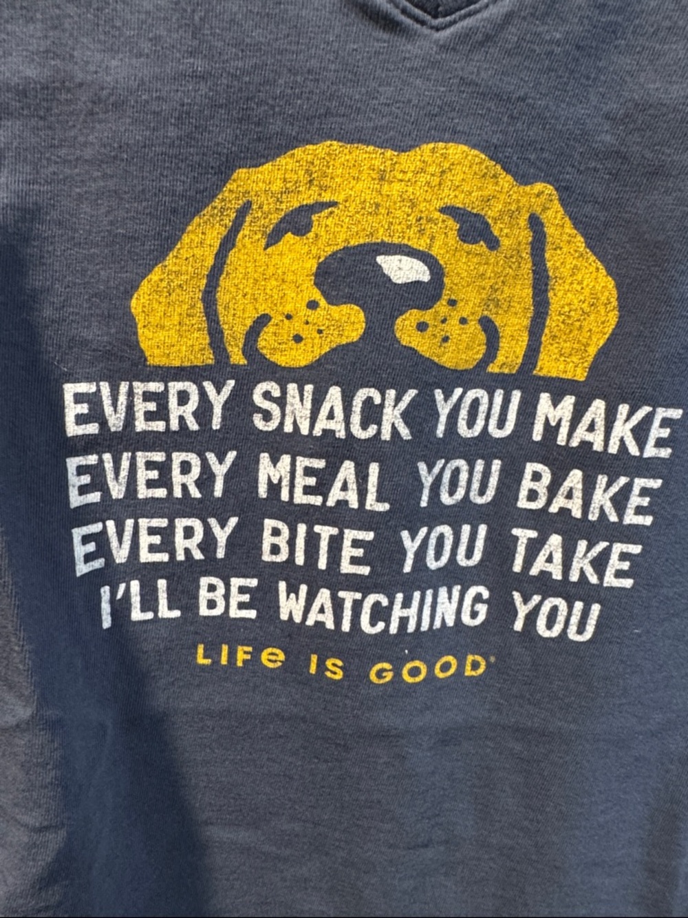 Women’s Life Is Good Blue V-Neck Tee with Yellow Dog Graphic - Picture 4 of 4